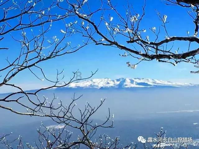 广州打造“数字助老”老年友善医疗示范点